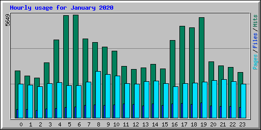 Hourly usage for January 2020